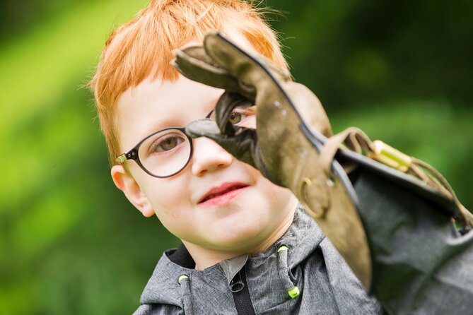 Private Family Bird of Prey Experience in Carlisle - What one hour with the birds feels like
