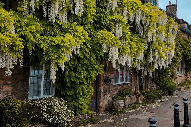 Private Full Day Cotswolds Tour From London - What the private vehicle adds