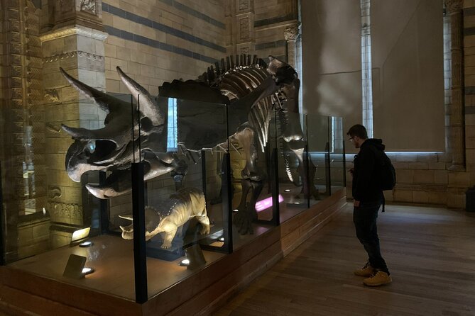 Private Guided Tour of Natural History Museum - Skip the Line - Why a Private Guide Helps at the Natural History Museum