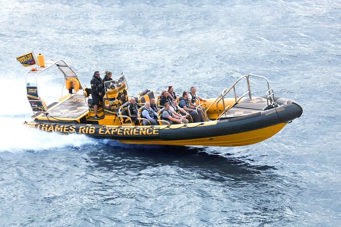 PRIVATE HIRE 45 min Speedboat Tour - Embankment/Westminster Pier - A fast way to connect Westminster and Tower Bridge