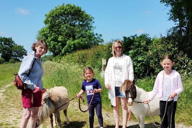 Private Miniature Horse Walking near Lincoln - Key points to know before booking