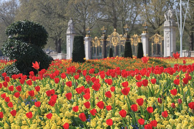 Private Tour, Entry to Westminster Abbey and London Highlights - Trafalgar Square is a useful finish