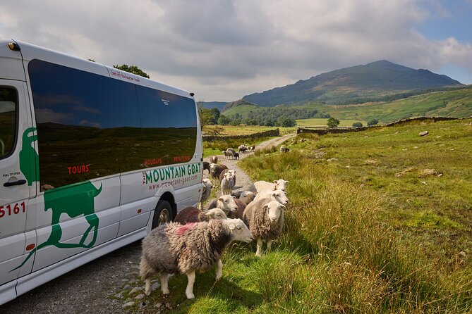 Private Tour: High Adventure and the Western Lake District - The optional Muncaster Castle addition