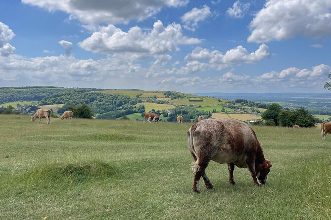 Private tour of the stunning Cotswolds with an expert local guide - Nathan’s guiding style and the car
