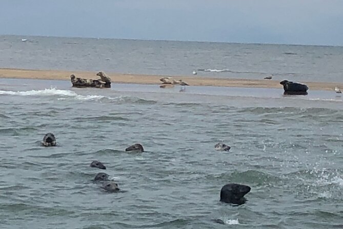 Scroby Sands Seal Watching - A short route with real coastal views