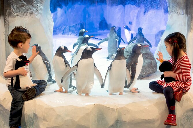 SEA LIFE Birmingham Admission Ticket - Ozzy and Ola are the centre’s special draw