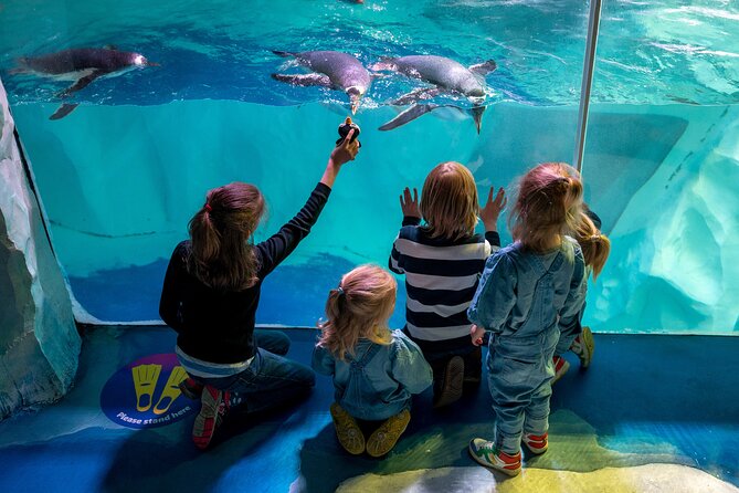 SEA LIFE Birmingham Admission Ticket - Who will enjoy this attraction most