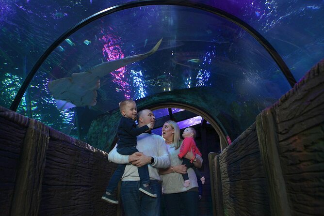 SEA LIFE Blackpool Admission Ticket - Key points to know before you go