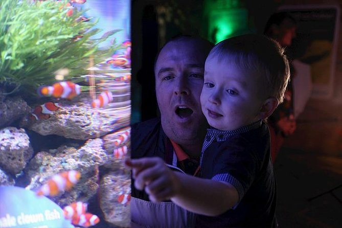 SEA LIFE Blackpool Admission Ticket - Starting with starfish at the Rock Pools