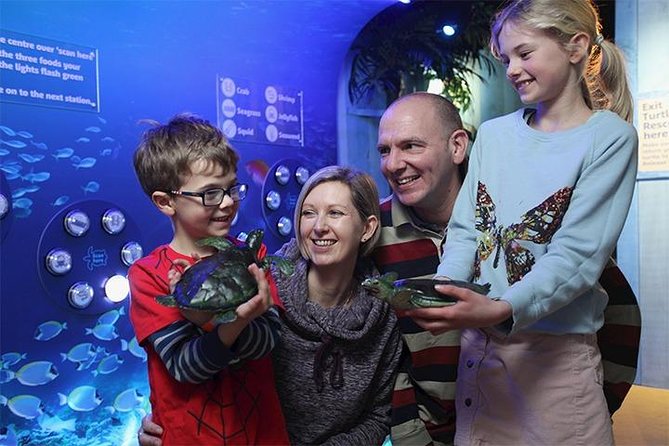 SEA LIFE Blackpool Admission Ticket - The Quayside brings larger animals into view