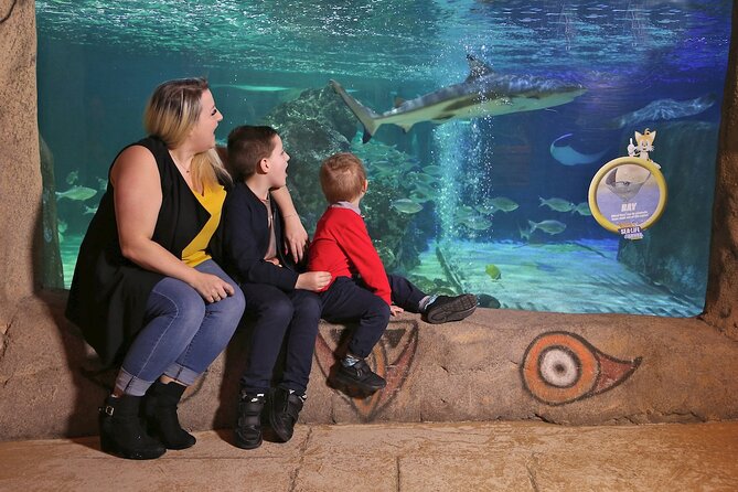 SEA LIFE Blackpool Admission Ticket - A leafy jungle with frogs and piranhas