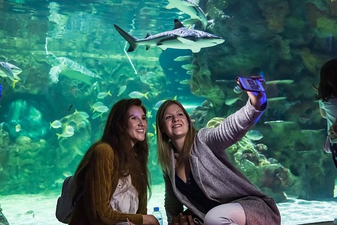 SEA LIFE Brighton Admission Ticket - From Victorian arcade to tropical rainforest