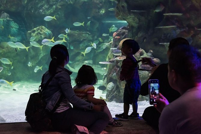 SEA LIFE Brighton Admission Ticket - Crabs and the Claws exhibit