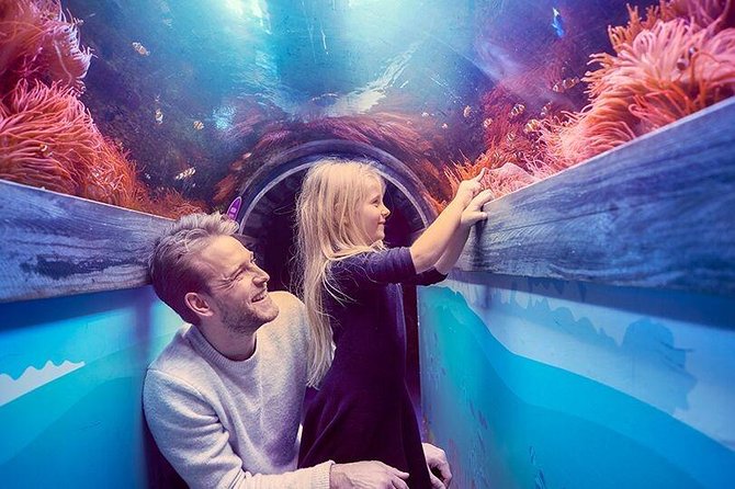 SEA LIFE Brighton Admission Ticket - Is the $21.94 ticket good value?