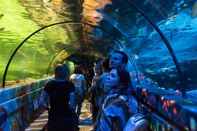SEA LIFE Brighton Admission Ticket - Who will enjoy SEA LIFE Brighton most?
