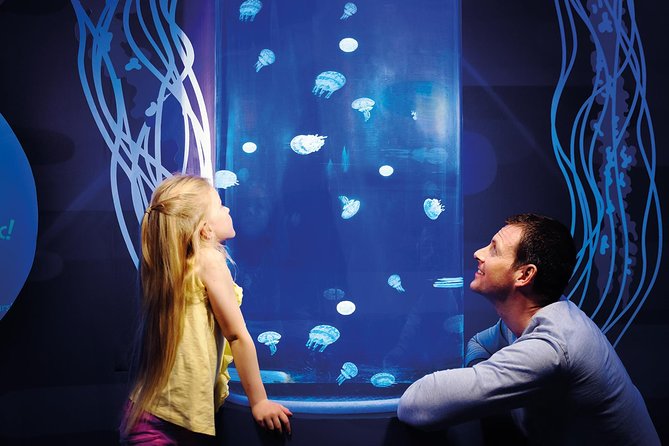 SEA LIFE Great Yarmouth General Admission - The Tropical Ocean Display and Atlantis Tunnel