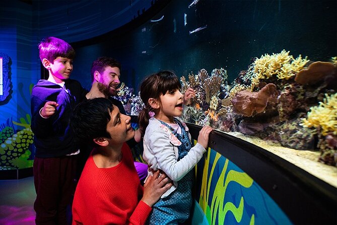 SEA LIFE London Aquarium Admission Ticket - Shark Reef Encounter