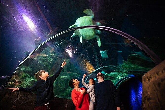 SEA LIFE London Aquarium Admission Ticket - Jellyfish, turtles, penguins, and smaller stars