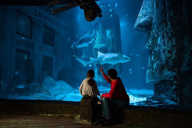 SEA LIFE London Aquarium Admission Ticket - Crowds, heat, and comfort