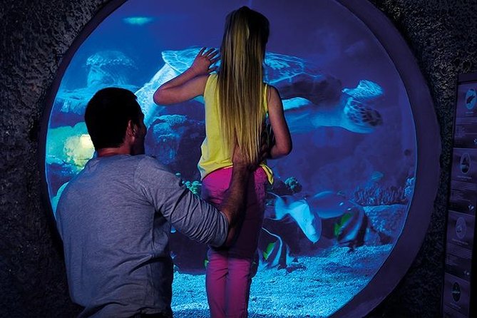 SEA LIFE Manchester Admission Ticket - Moon jellyfish under changing colors