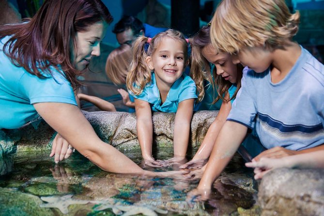 SEA LIFE Manchester Admission Ticket - Walking beneath sharks and Ernie