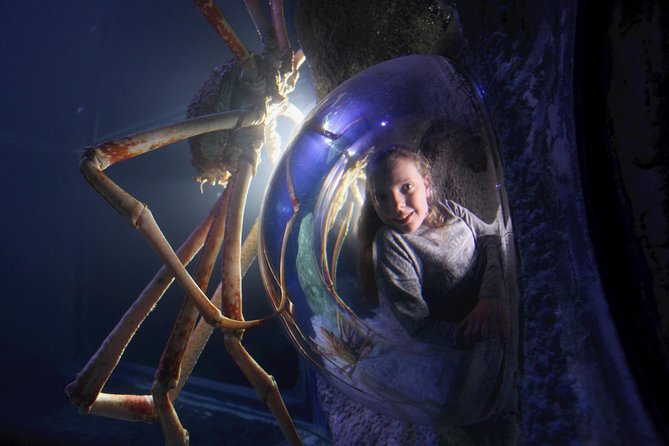 SEA LIFE Manchester Admission Ticket - A calmer stop at Stingray Bay
