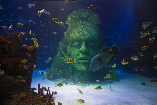 SEA LIFE Manchester Admission Ticket - Touching creatures at the Rockpools