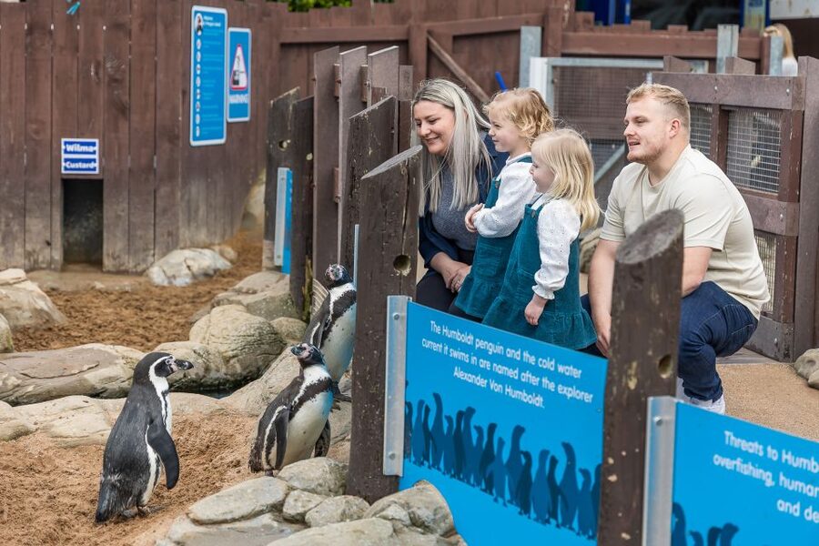 Sea Life Scarborough - Access, families, and practical rules