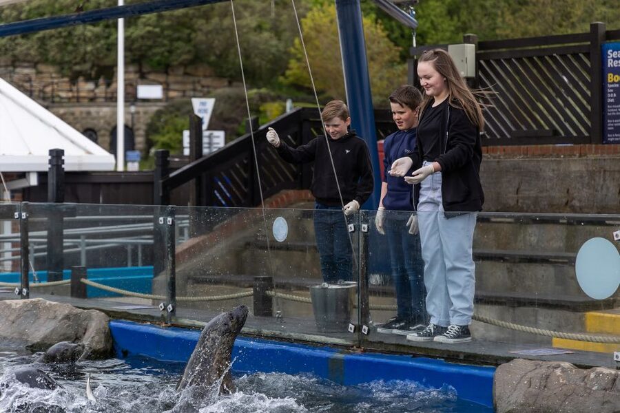 Sea Life Scarborough - Deciding if the $26 admission is fair