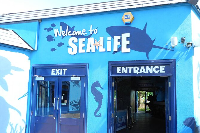 SEA LIFE Weymouth Admission Ticket - Why Fairy Penguin Island is the big draw