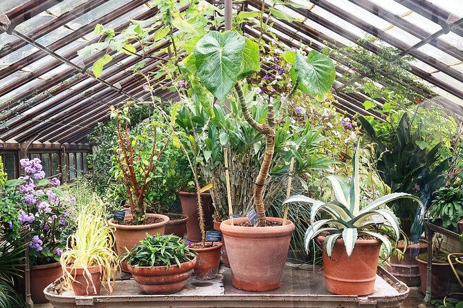 Secret Gardens of London Private Tour - Chelsea Physic Garden and the day’s main garden stop