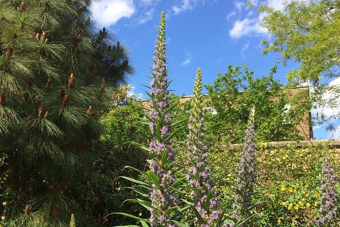 Secret Gardens of London Private Tour - Sir John Soane’s Museum and a collector’s home