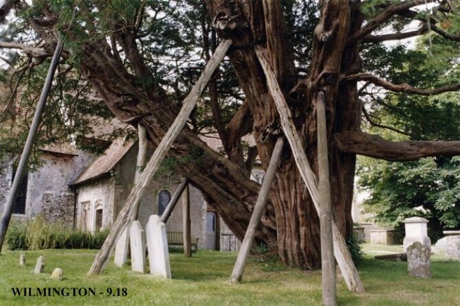 Seven Sisters Tour - Wilmington’s yew tree and the chalk Long Man