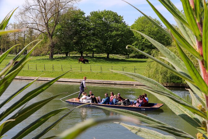 Shared Chauffeured Punt Tour - Clare College and its gardens