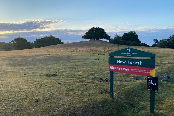 Small-group New Forest Discovery Walk from Lyndhurst - Starting at Bolton’s Bench with heathland views