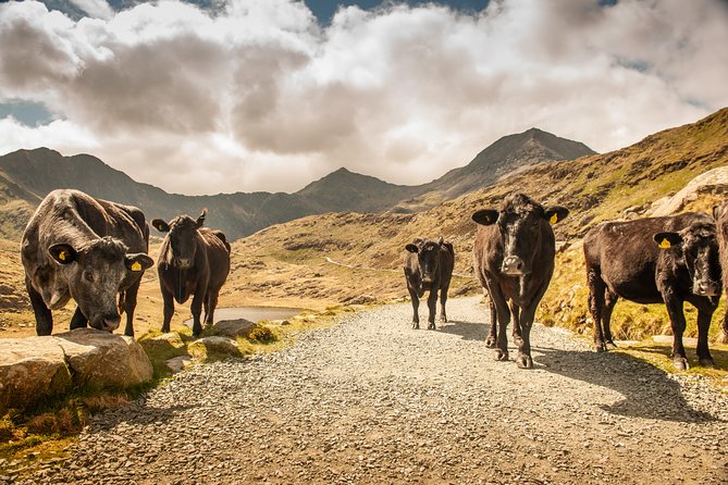 Snowdonia & Chester Day Tour from Manchester Including Admission - Time management makes or breaks the day