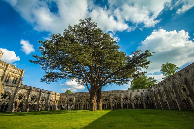 Southampton: Post-Cruise Tour to London via Salisbury, Stonehenge and Windsor - Guides and drivers make the difference