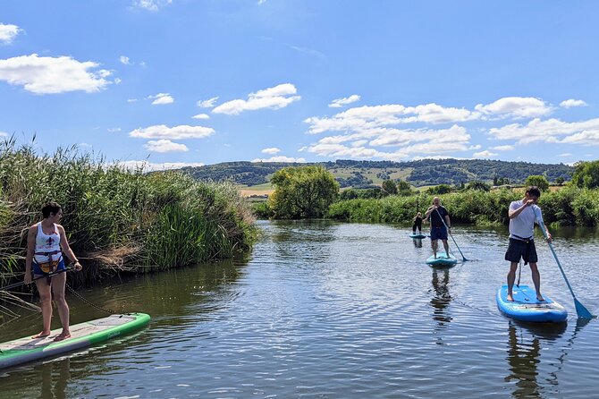 Stand-up Paddleboard SUP Safari on The River Avon For Beginners - What makes the wildlife and setting worth your time