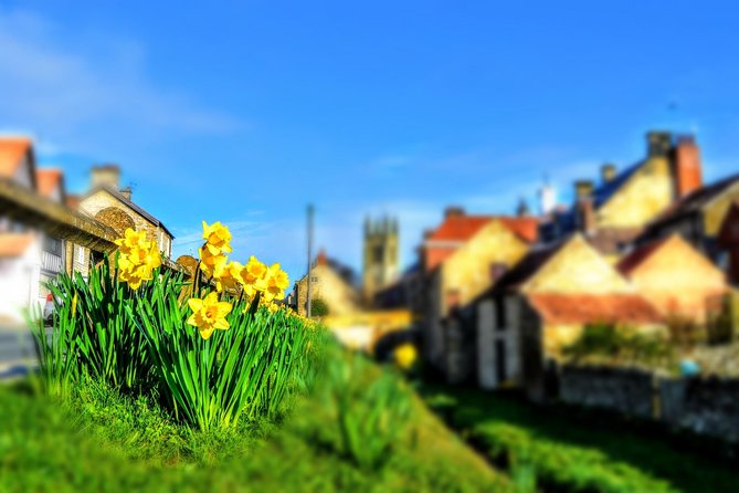 Steam Trains, Whitby, and the North York Moors Full-Day Tour from York - Why this York day trip works so well