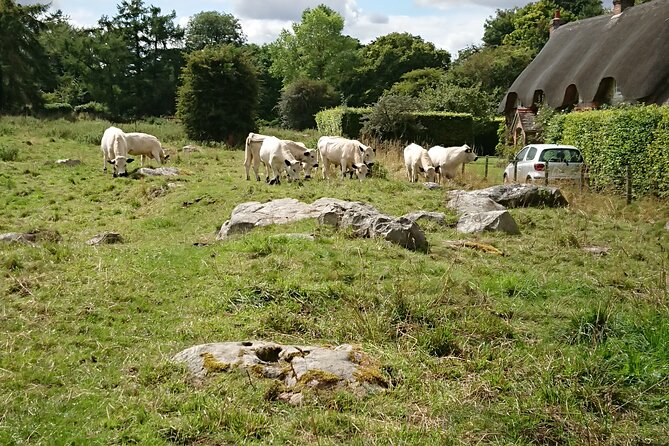Stonehenge, Avebury, and West Kennet Long Barrow from Salisbury - Stonehenge: the famous stop needs time and patience