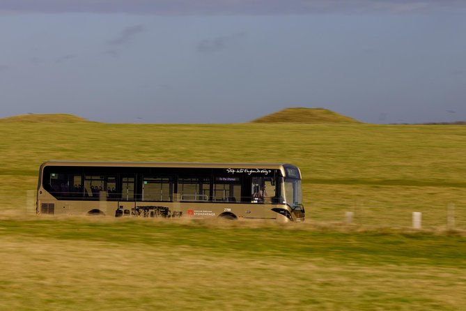 Stonehenge Shuttle Bus from London with Optional Fish & Chips - Is the fish and chips upgrade worth it?