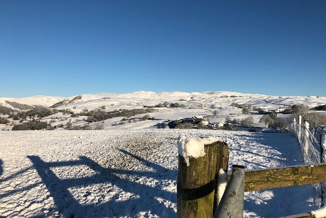 Stunning Lake District 4 Hour Tours! - Tarn Hows, one of the best photo stops