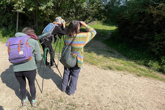 Sussex Birdwatching Private Guided Day Tour - Burpham: open downland and birds of prey