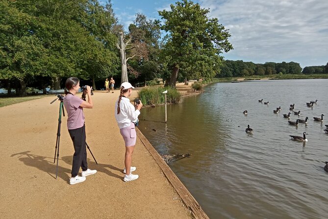 Sussex Birdwatching Private Guided Day Tour - The seasons shape your bird list