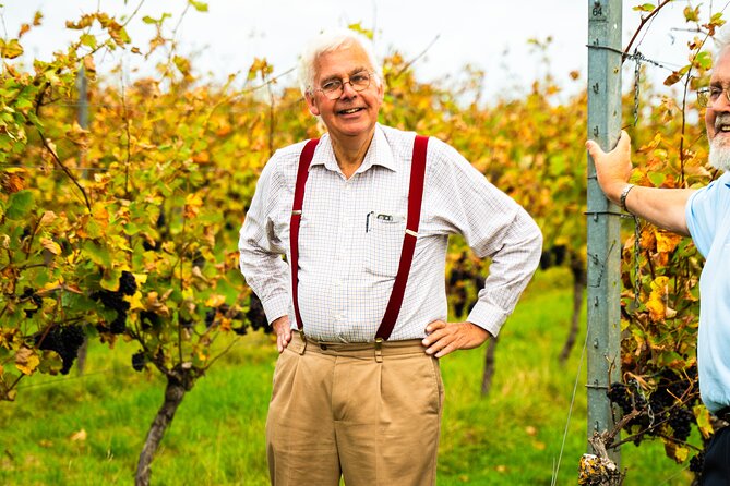 Sussex Vineyard & Winery Bus Tour on Iconic Vintage London Bus - Court Gardens Farm, vines, winery, and sparkling wine