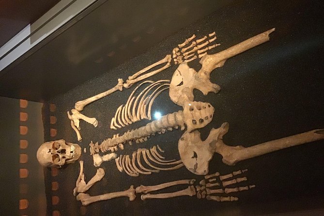 The Freemasons Tour of London - Charterhouse and the physical traces of the plague
