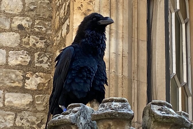 The Tower of London - Small Group Tour with a Local Expert - The Crown Jewels and Coronation Regalia