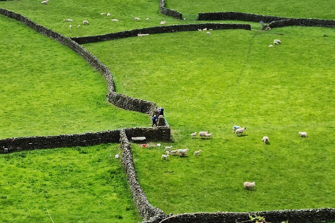 The Yorkshire Dales of All Creatures Great & Small - Why this Yorkshire Dales day works so well