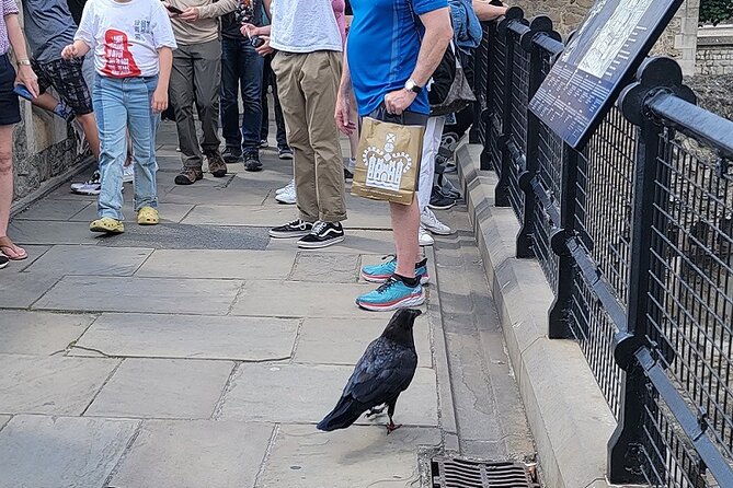 Tower of London: Guided Tour with Thames River Cruise - What you really get from the Thames cruise