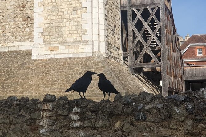 Tower of London Private Tour for Families and Friends - Meeting the ravens and hearing the legends